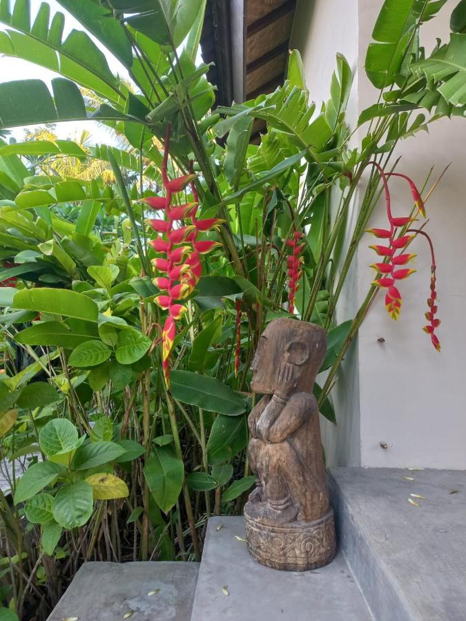 Waiara Village Guesthouse Maumere Dış mekan fotoğraf