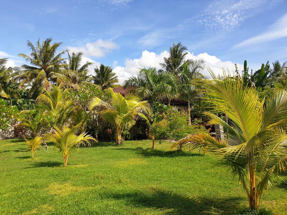 Waiara Village Guesthouse Maumere Dış mekan fotoğraf